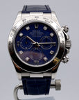 SOLD Rare Daytona Sodalite Full Set / serviced